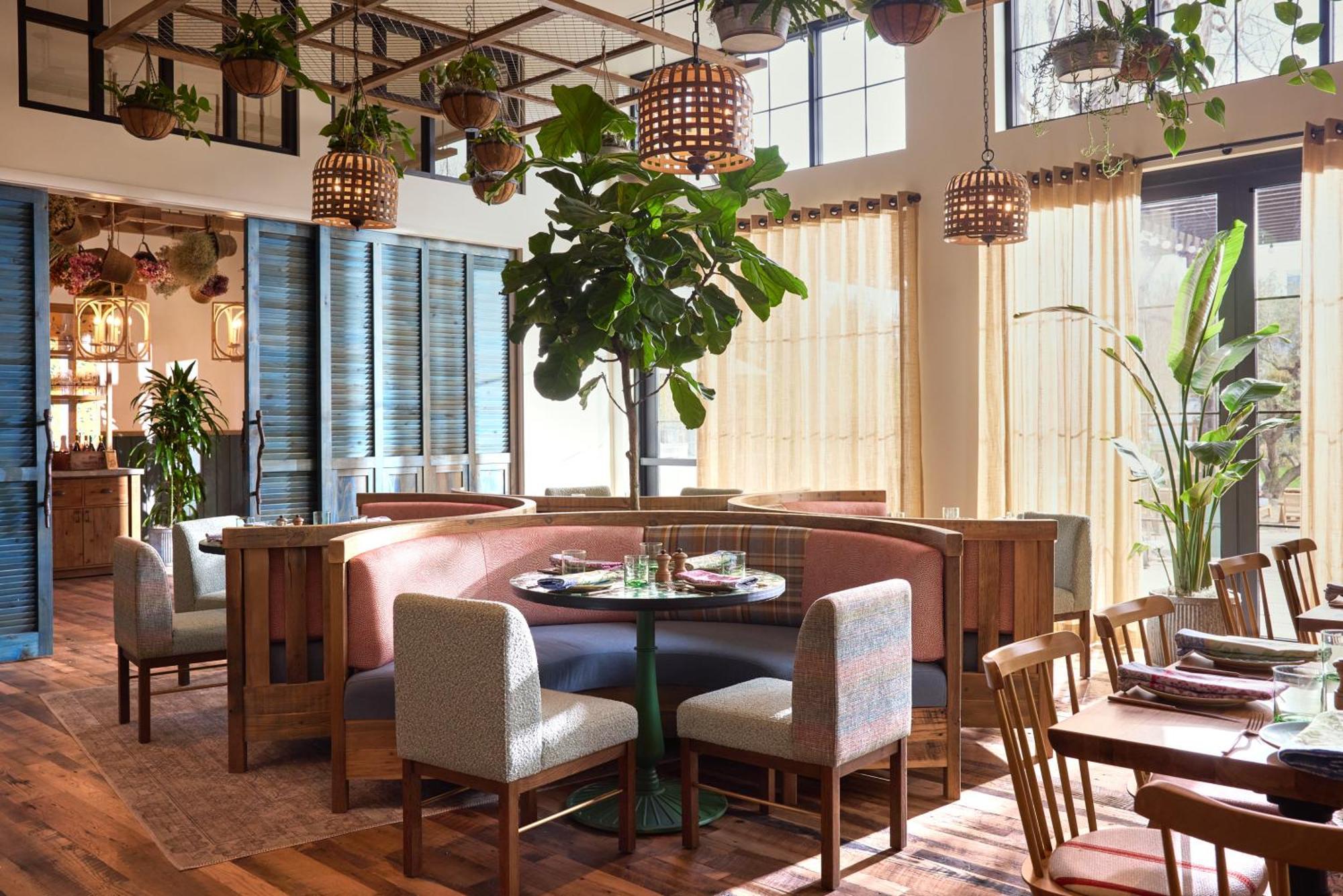 Treehouse Hotel Silicon Valley Sunnyvale Kültér fotó